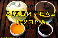 Любитель Пуэра