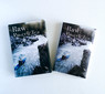 Шэн пуэр для путешествий (70 г)